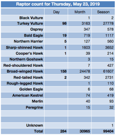 Screen Shot 2019-05-24 at 6.21.06 AM