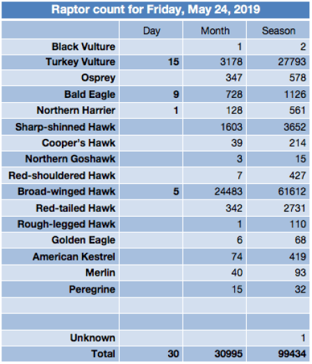 Screen Shot 2019-05-25 at 7.27.08 PM