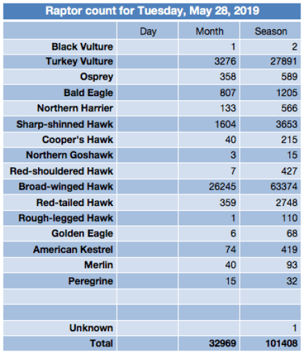 Screen Shot 2019-05-28 at 10.52.00 PM