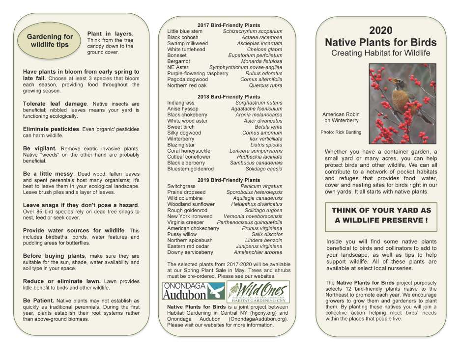 Brochure 2020 outside PDF FINAL