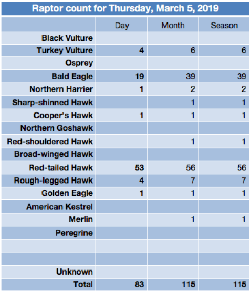 Screen Shot 2020-03-05 at 8.02.01 PM