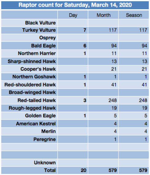 Screen Shot 2020-03-14 at 7.46.34 PM