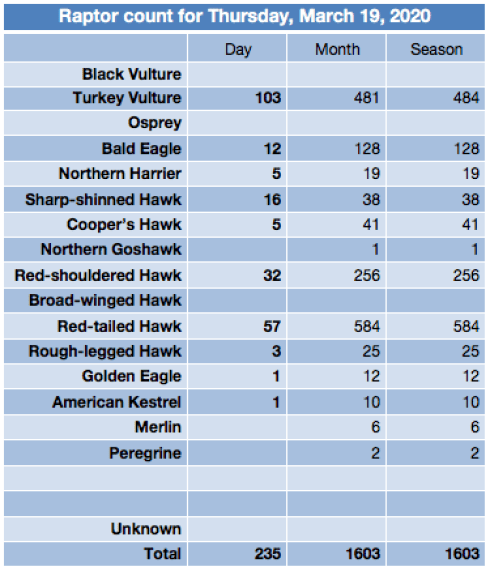 Screen Shot 2020-03-19 at 8.56.40 PM