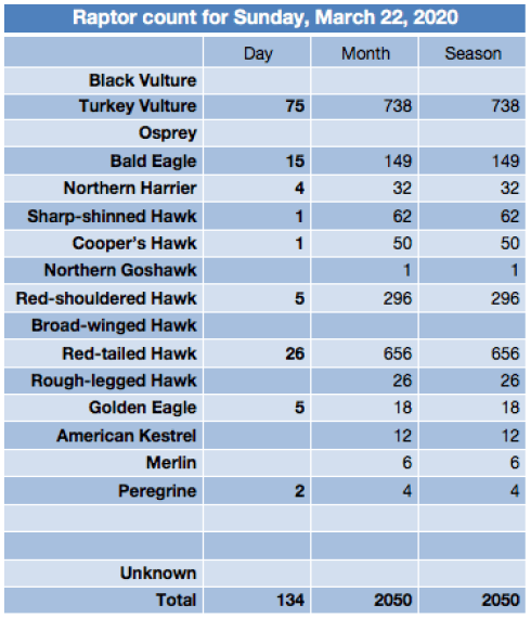 Screen Shot 2020-03-22 at 7.08.44 PM