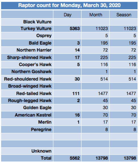 Screen Shot 2020-03-30 at 7.53.12 PM