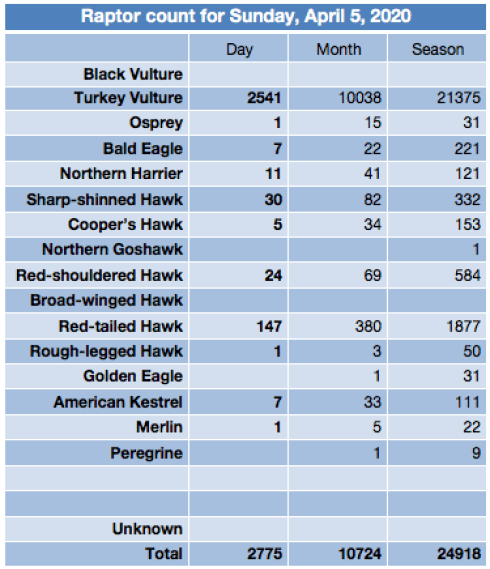 Screen Shot 2020-04-05 at 8.21.35 PM