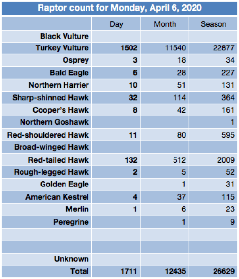 Screen Shot 2020-04-06 at 8.16.14 PM