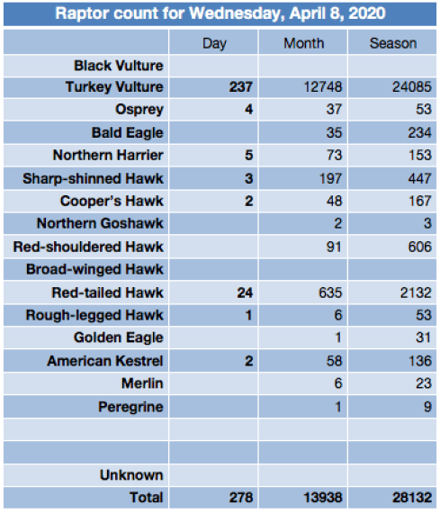 Screen Shot 2020-04-08 at 7.47.49 PM