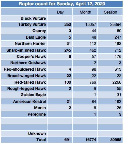 Screen Shot 2020-04-12 at 8.30.39 PM