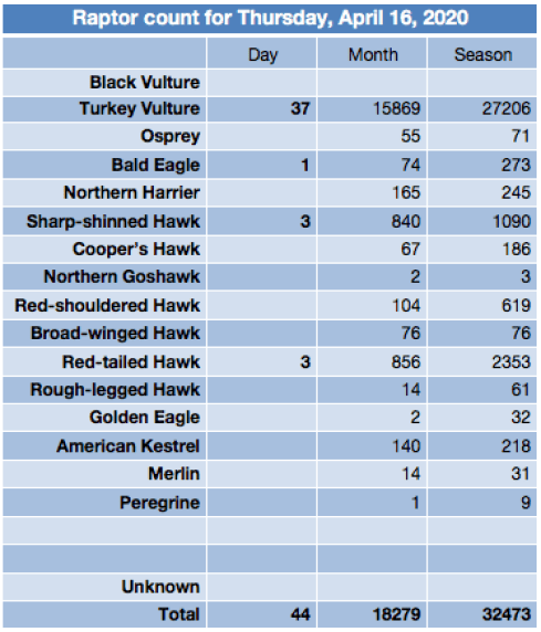 Screen Shot 2020-04-16 at 7.29.06 PM