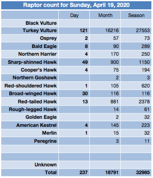 Screen Shot 2020-04-20 at 6.11.44 AM