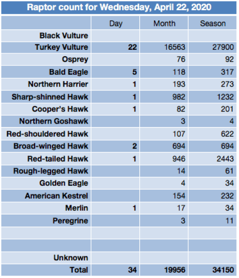 Screen Shot 2020-04-23 at 6.36.30 AM