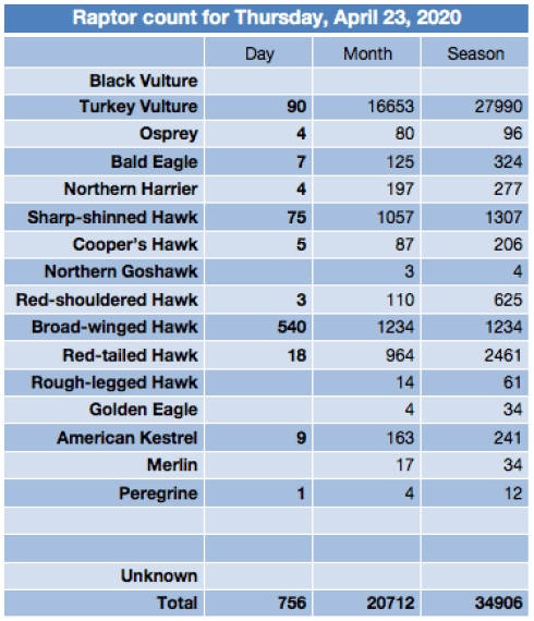 Screen Shot 2020-04-23 at 8.17.05 PM