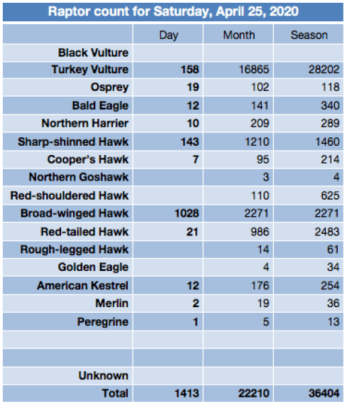 Screen Shot 2020-04-25 at 9.54.10 PM