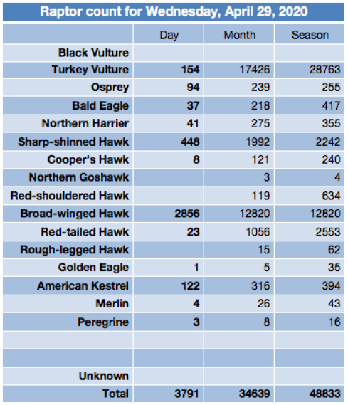 Screen Shot 2020-04-30 at 6.00.27 AM