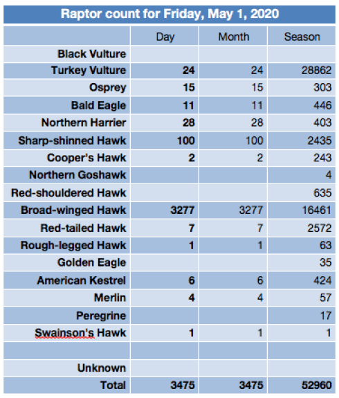 Screen Shot 2020-05-02 at 9.02.54 PM