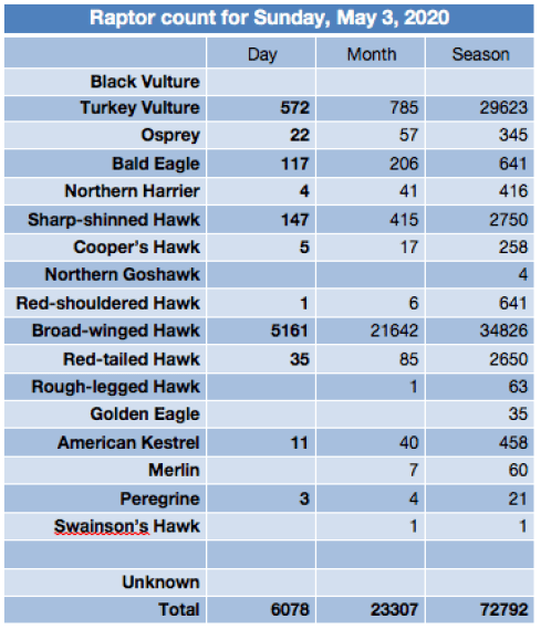 Screen Shot 2020-05-03 at 8.51.13 PM