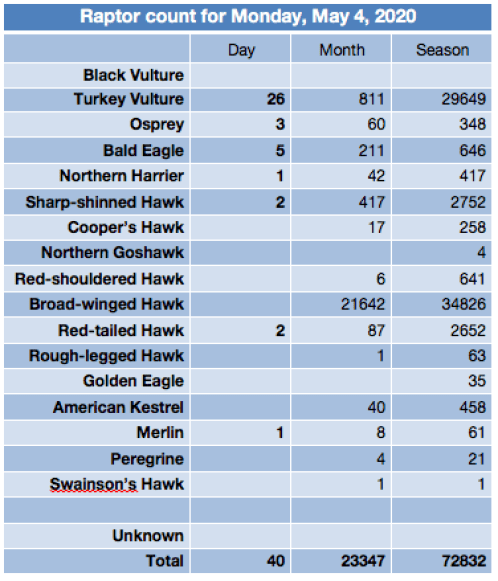 Screen Shot 2020-05-05 at 7.12.51 AM