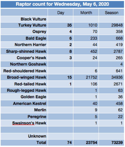 Screen Shot 2020-05-07 at 8.32.44 AM