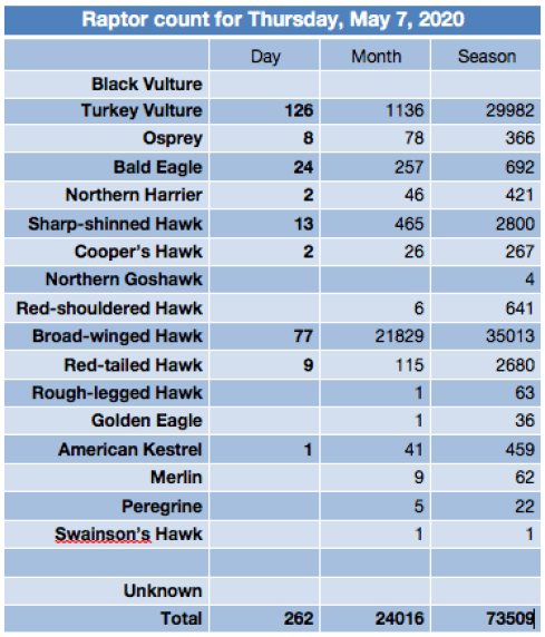 Screen Shot 2020-05-07 at 9.11.05 PM