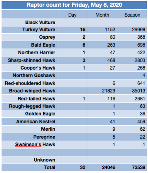 Screen Shot 2020-05-08 at 7.57.56 PM