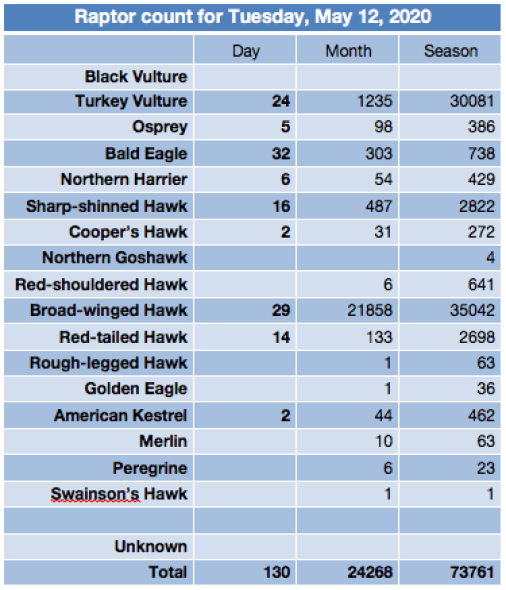 Screen Shot 2020-05-12 at 8.55.34 PM