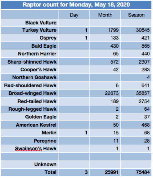 Screen Shot 2020-05-18 at 10.14.39 PM