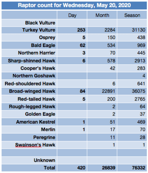 Screen Shot 2020-05-20 at 9.20.09 PM