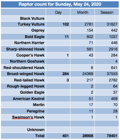 Screen Shot 2020-05-25 at 7.50.49 PM