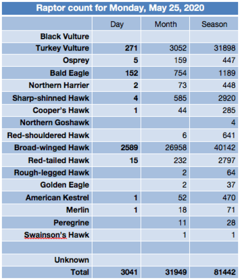 Screen Shot 2020-05-25 at 9.40.57 PM