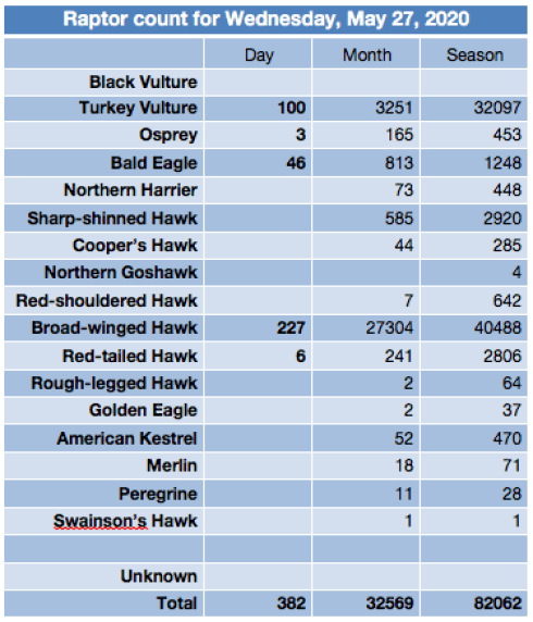 Screen Shot 2020-05-28 at 7.00.51 AM