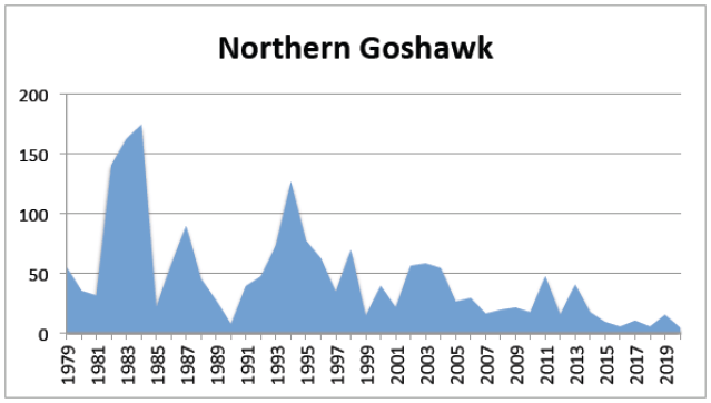 Yearly Count Charts