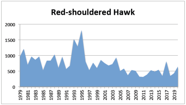 Yearly Count Charts