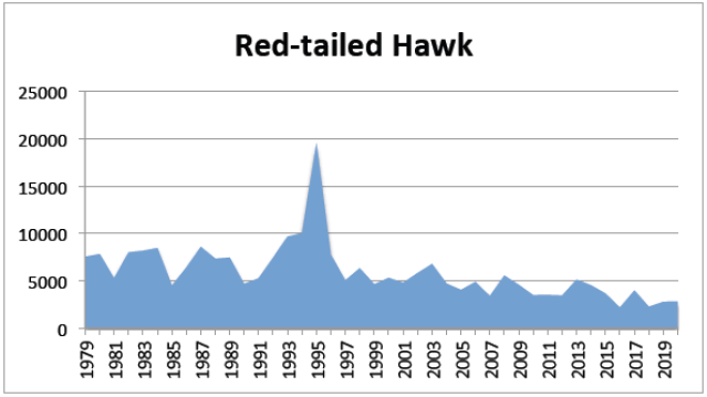 Yearly Count Charts