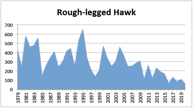 Yearly Count Charts